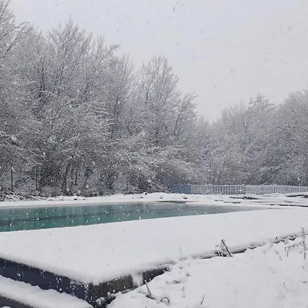 Hotel Butterfly Butik 3*